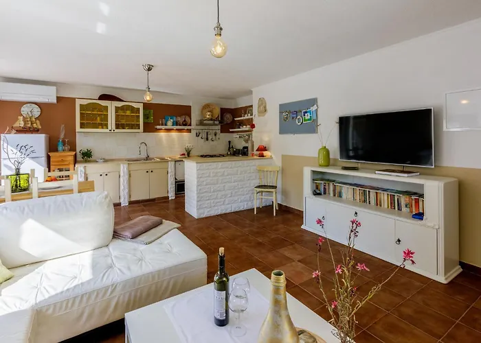 Emaris * 트리발즈